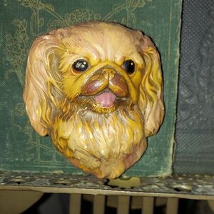 Adorable Tan and Brown Dog Wall Art